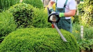 giardiniere professionale